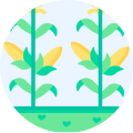 agriculture science